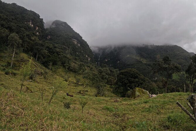 Private tour: La Chorrera highest waterfall in Colombia - La Chorrera’s 590-Meter Fall: What You’ll Actually Be Chasing