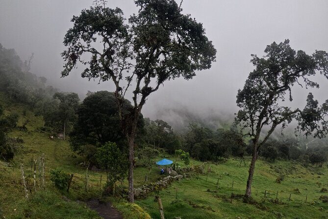 Private tour: La Chorrera highest waterfall in Colombia - Who This Tour Fits Best (and Who Might Skip It)