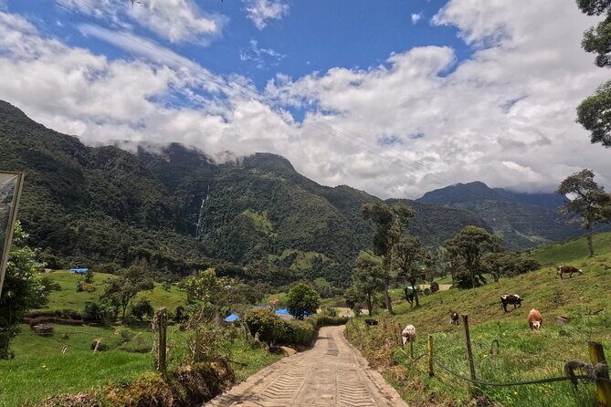 Private tour: La Chorrera highest waterfall in Colombia - Should You Book La Chorrera at 590 Meters?