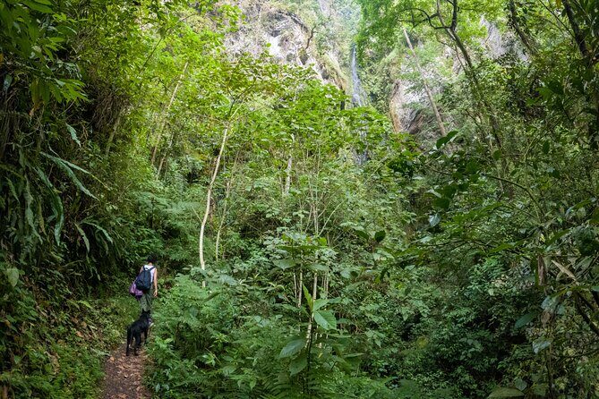 Private Tour through the Chicaque Natural Park and Forest of Fog - Guide Power: What You Gain With a Certified Local