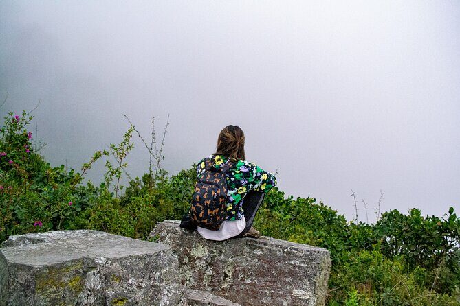 Private Tour through the Chicaque Natural Park and Forest of Fog - Private Transportation: The Value of Not Negotiating Your Day