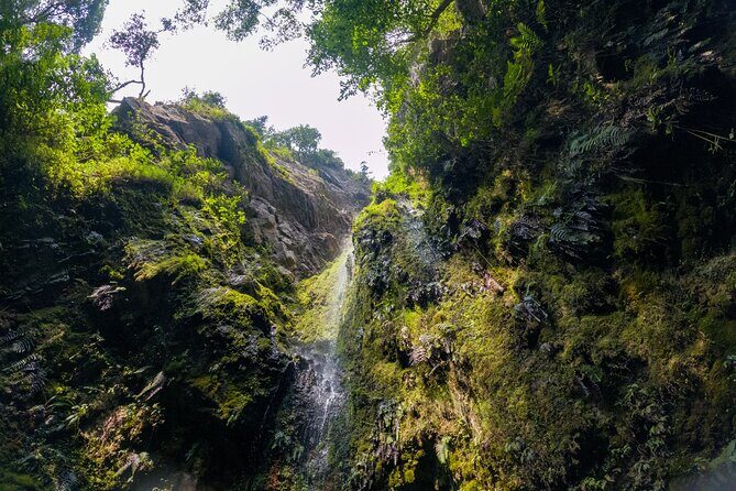 Private Tour through the Chicaque Natural Park and Forest of Fog - The Full Flow: From Meeting Point Back to Bogotá