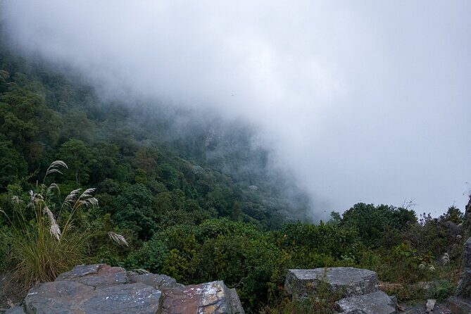 Private Tour through the Chicaque Natural Park and Forest of Fog - Parque Natural Chicaque: Your 4-Hour Core Experience