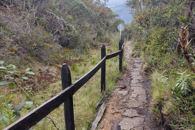 <em>Private tour</em> to Guatavita sacred lagoon + Nemocon salt mine – Who this private tour suits best’ /><br />
This tour fits best if you want a <strong>guided, low-stress</strong> day in the Bogotá area with two headline stops that are very different from each other. Here are the kind of travelers who usually enjoy it most:</p>
<ul>
<li>Couples or small groups who want privacy and a guide who can answer questions in Spanish or English</li>
<li>First-timers who want the main Cundinamarca highlights in one day</li>
<li>People who like a mix of nature and industry-history (lagoon plus salt mine)</li>
<li>Travelers who prefer included tickets and a set schedule over DIY logistics</li>
</ul>
<p><p>It’s also marked as suitable for most travelers. Plus, service animals are allowed, which can matter when you’re planning day trips.</p>
</p>
<h2 id="practical-tips-so-the-day-feels-smooth">Practical tips so the day feels smooth</h2>
<p><img width="669" height="446" decoding="async" src=