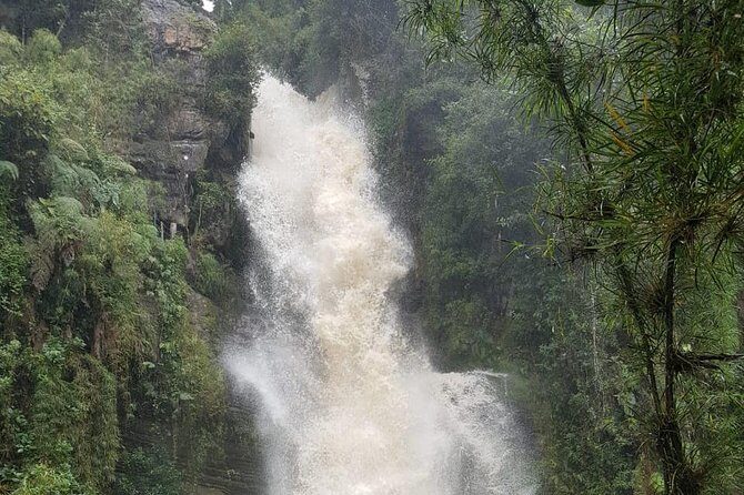 Private Tour to the Nature Waterfall of La Chorrera from Bogotá - Pickup, timing, and what to expect on the walking parts
