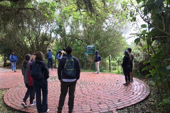 Salt Cathedral of Zipaquirá Tours: Multiple Options Available - Price and Value: What $52 Covers (and Why That Matters)