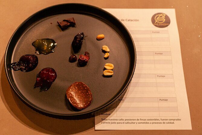 Specialty Coffee Tasting in Bogotá, From coffee growers to your cup - Your coffee lineup: AeroPress, V60, French Press, and Japanese Siphon