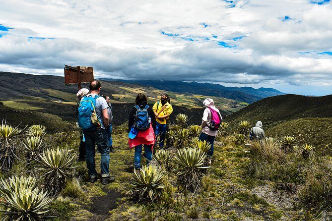 Sumapaz Páramo Private Hike Tour - Price and what you actually get for $121