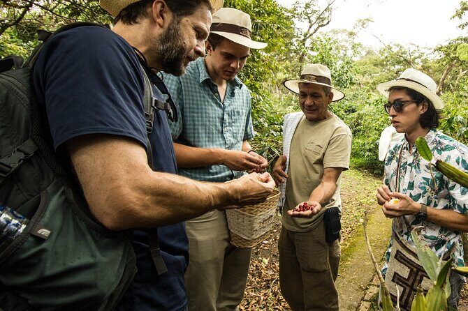 Traditional Coffee Farm Experience at Hacienda Coloma from Bogotá - Bogotá to Hacienda Coloma: why the drive matters