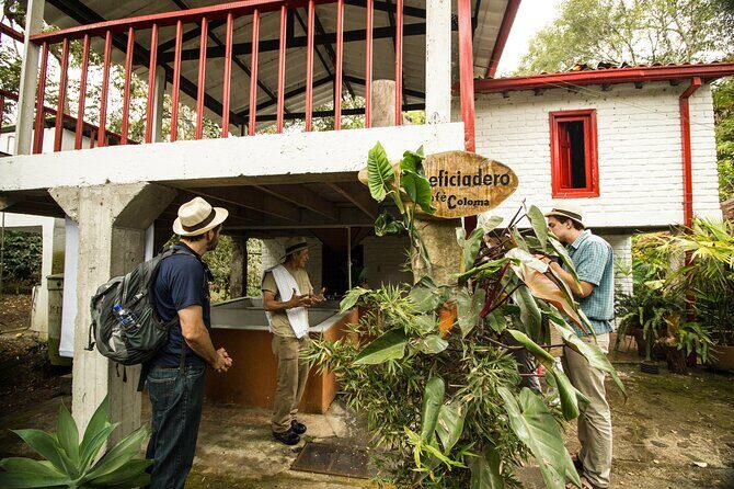 Traditional Coffee Farm Experience at Hacienda Coloma from Bogotá - Seeing coffee making in action: from traditional steps to machines