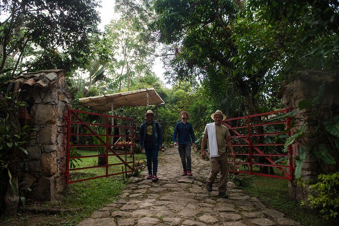 Traditional Coffee Farm Experience at Hacienda Coloma from Bogotá - Private tour feel: small-group pacing that keeps things clear