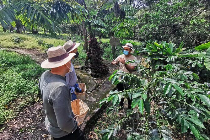Visit and live a colombian coffee plantation (group tour) - Key Highlights You’ll Feel During the Day