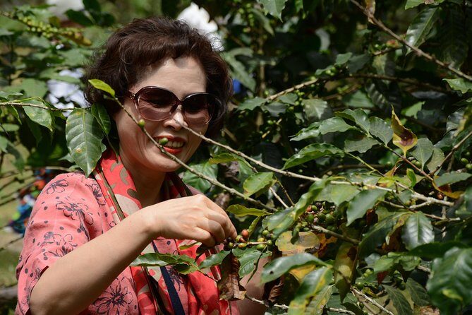 Visit and live a colombian coffee plantation (group tour) - Coffee Tasting: What’s Included, and What to Expect