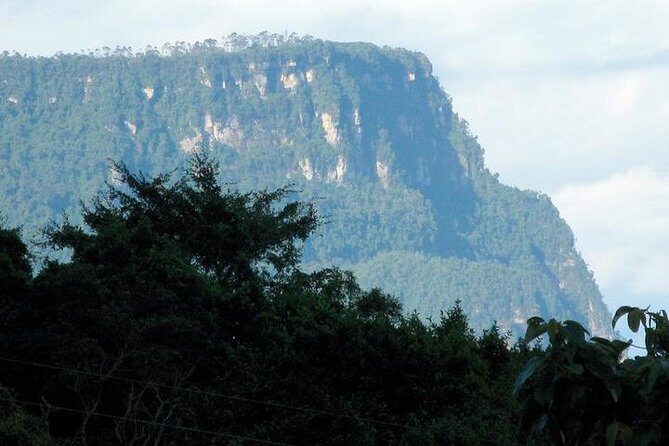 Visit to Chicaque Natural Park Private Tour from Bogotá. (8 Hrs.) - Key Things That Make This Tour Worth Your Time