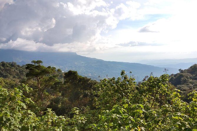 Visit to Chicaque Natural Park Private Tour from Bogotá. (8 Hrs.) - Trail Choices: Dos Quebradas, La Cascada, and More