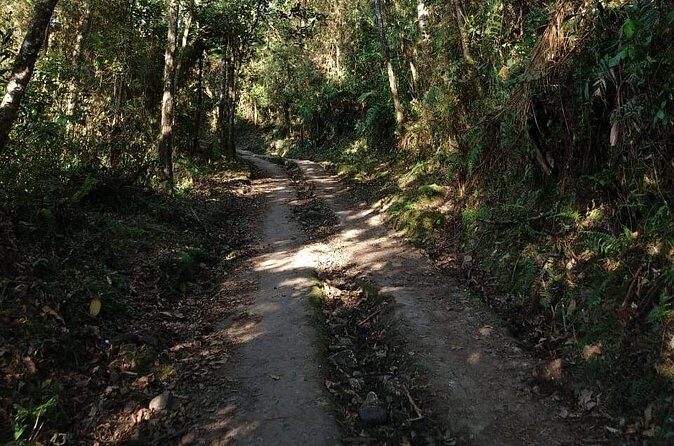 Visit to Chicaque Natural Park Private Tour from Bogotá. (8 Hrs.) - Value and Price: What You’re Paying For at $289