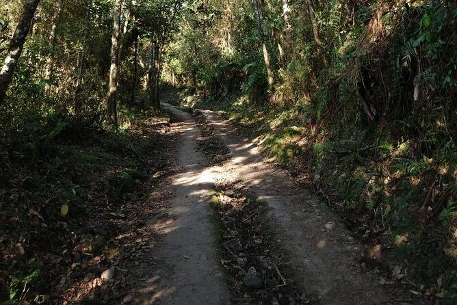 Visit to Chicaque Natural Park Private Tour from Bogotá. (8 Hrs.) - The Guide Factor: Getting Real Help on the Trail