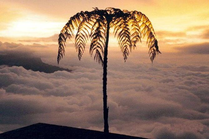 Visit to Chicaque Natural Park Private Tour from Bogotá. (8 Hrs.) - Chicaque’s Nature Core: Trails, Waterfalls, and Wildlife Time