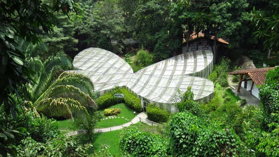 Walking tour José Celestino Mutis Botanical Garden 3 hrs - Key things that make this tour worth your time