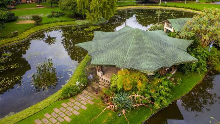 Walking tour José Celestino Mutis Botanical Garden 3 hrs - The guided walk itself: how the tour keeps your attention